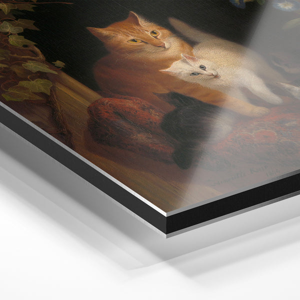 Trois chatons sous la tonnelle botanique — Aluminium Dibond relief 3D
