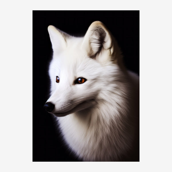 Renard blanc aux yeux d'ambre, portrait noir et blanc — Toile sur châssis
