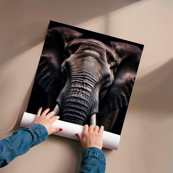 Éléphant noir et blanc, portrait frontal — Poster HP mat