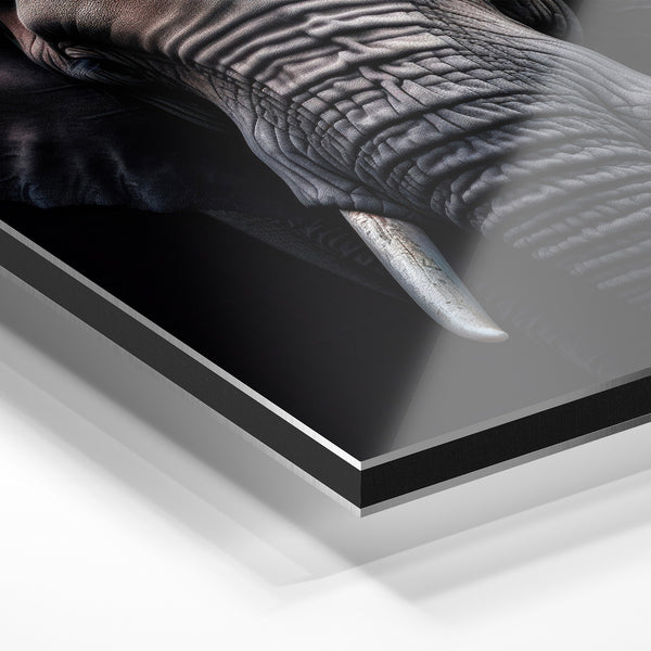 Éléphant noir et blanc, portrait frontal — Aluminium Dibond relief 3D