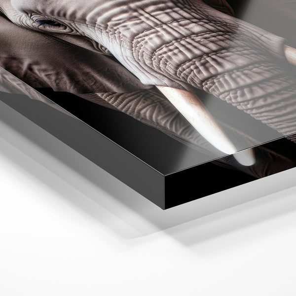 Éléphant face tusks, affiche noir et blanc — Verre acrylique