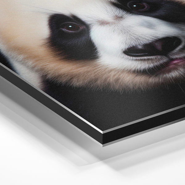 Portrait de panda noir et blanc minimaliste — Aluminium Dibond