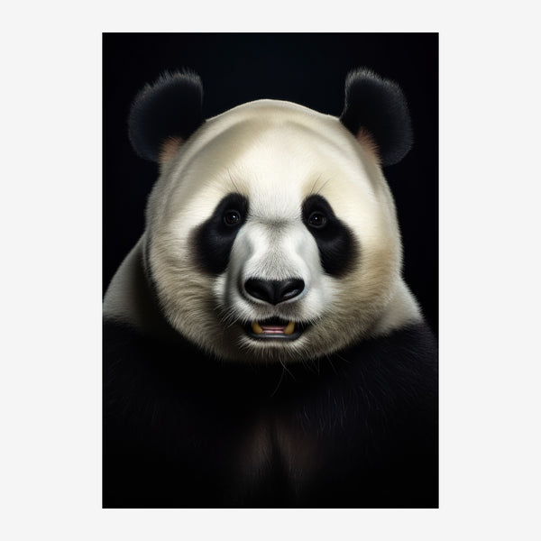 Panda frontal regard intense noir et blanc — Toile sur châssis