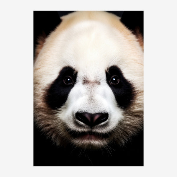 Panda gros plan regard intensité noir et blanc — Toile sur châssis