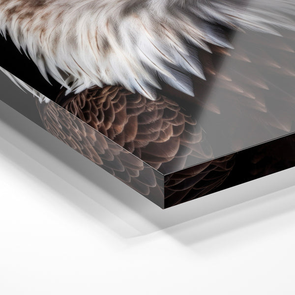Aigle royal noir et blanc, portrait photoréaliste — Verre acrylique