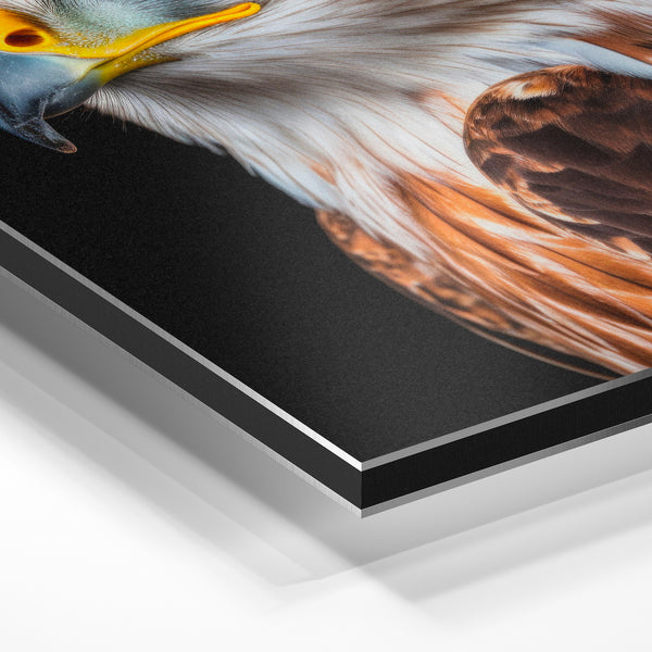 Portrait d'aigle royal noir et blanc réaliste — Aluminium Dibond