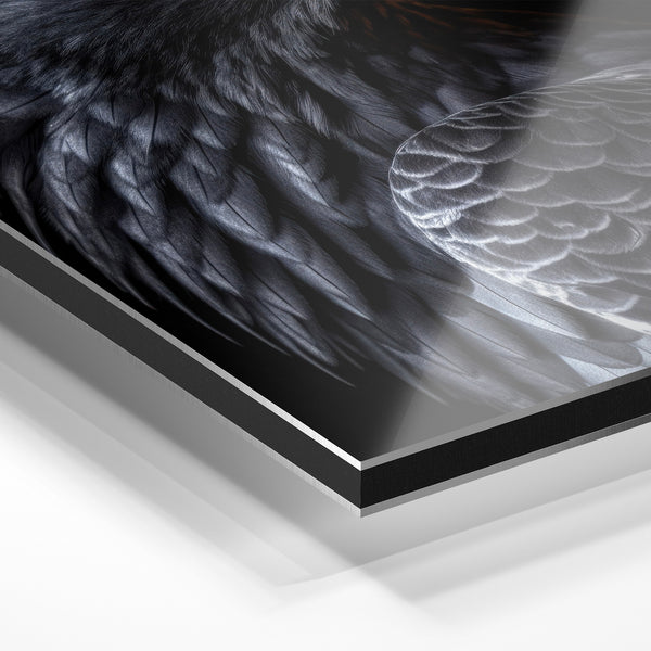 Portrait d'aigle noir et or en gros plan — Aluminium Dibond relief 3D