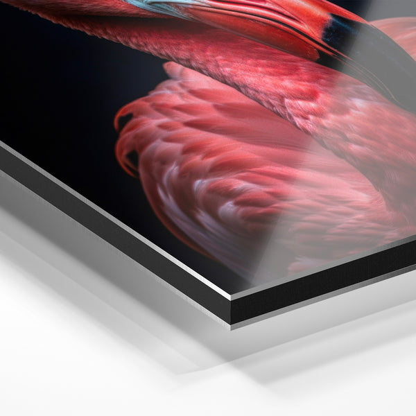 Flamant rouge et noir, portrait animalier — Aluminium Dibond relief 3D