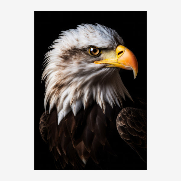 Aigle à tête blanche, portrait noir et blanc — Toile sur châssis