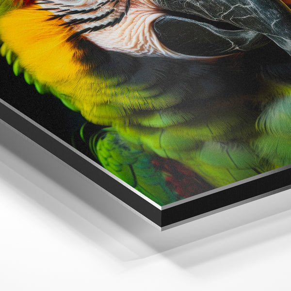 Ara rouge et vert - portrait noir et blanc — Aluminium Dibond
