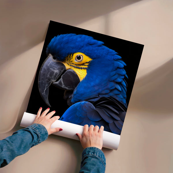 Ara bleu et or, portrait animalier réaliste — Poster HP mat
