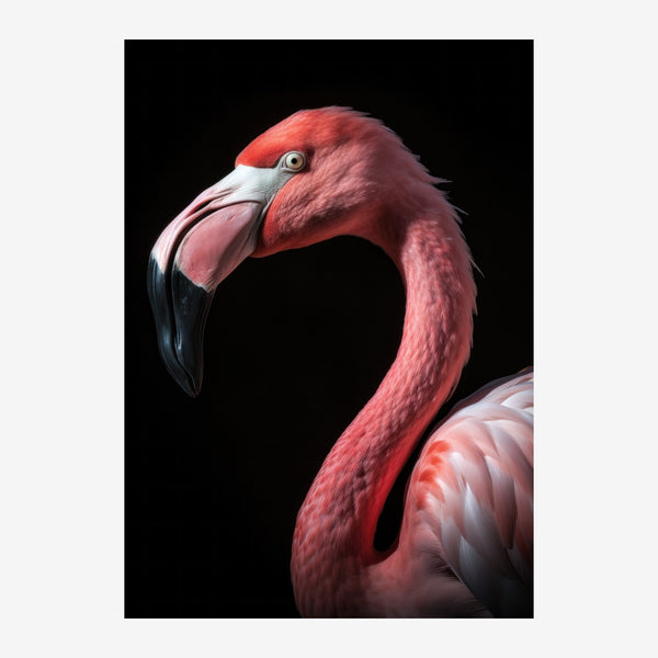 Flamant rose portrait noir et blanc minimaliste — Toile sur châssis