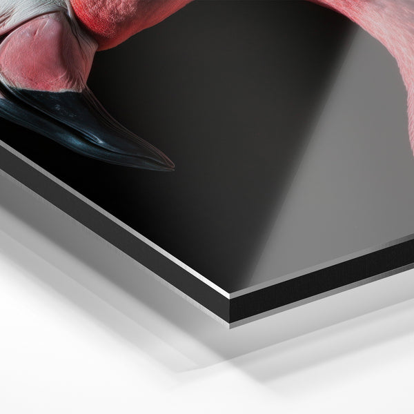 Flamant rose portrait noir et blanc minimaliste — Aluminium Dibond relief 3D