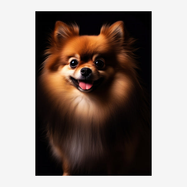 Chihuahua roux souriant, portrait noir et blanc — Toile sur châssis