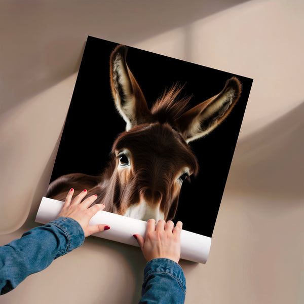 Âne brun et blanc, portrait animalier noir et blanc — Poster HP mat