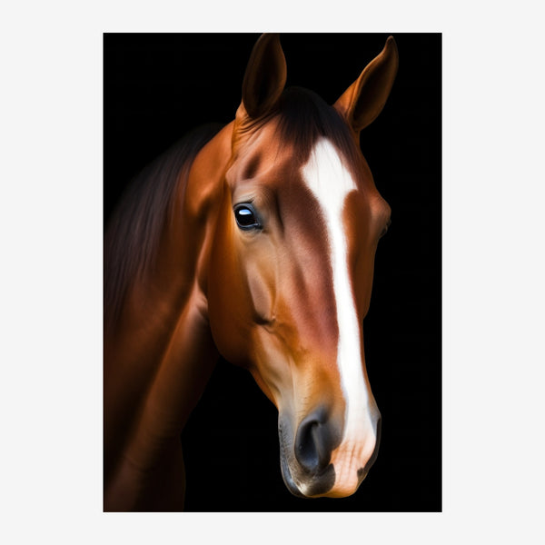 Cheval bai aux yeux clairs, portrait noir et blanc — Toile sur châssis
