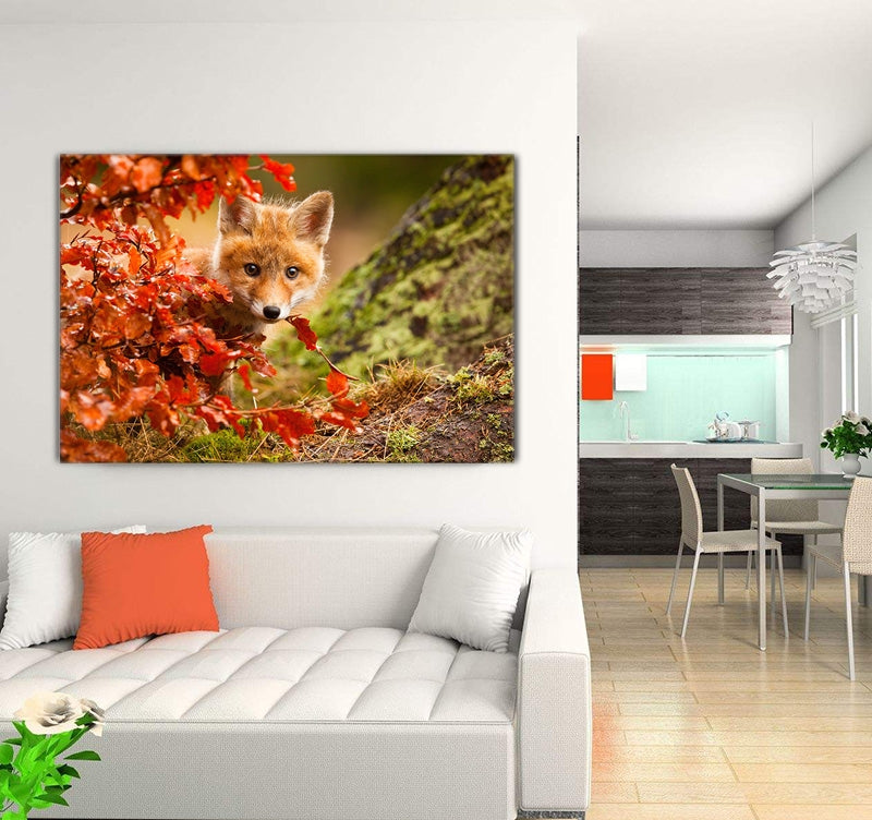Animal Canvas the Fox Cub