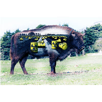 Nuclear Buffalo Art Photo