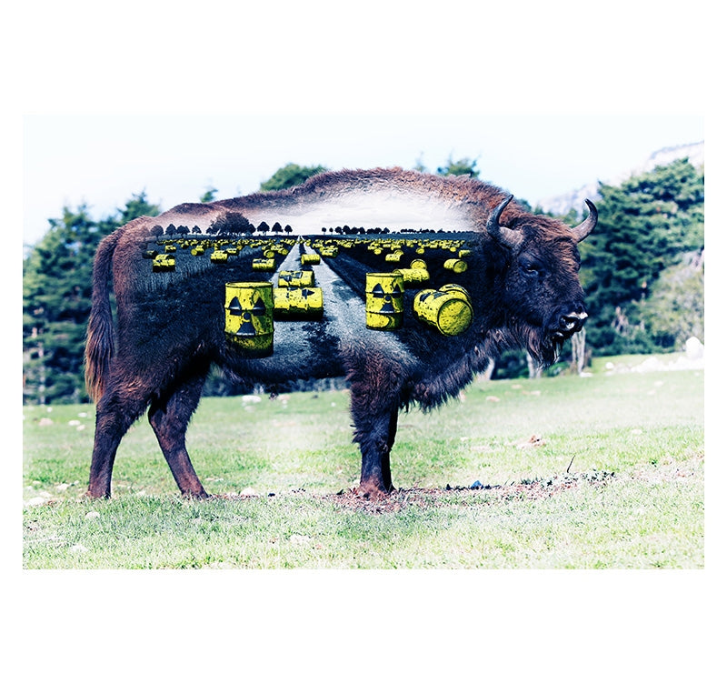 Nuclear Buffalo Art Photo