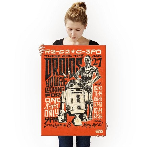 Poster Star Wars Droids