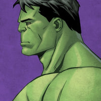 Poster Marvel Hulk Vert