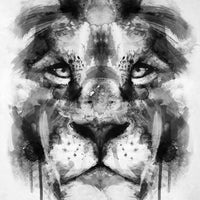 Poster Metal Lion Nature