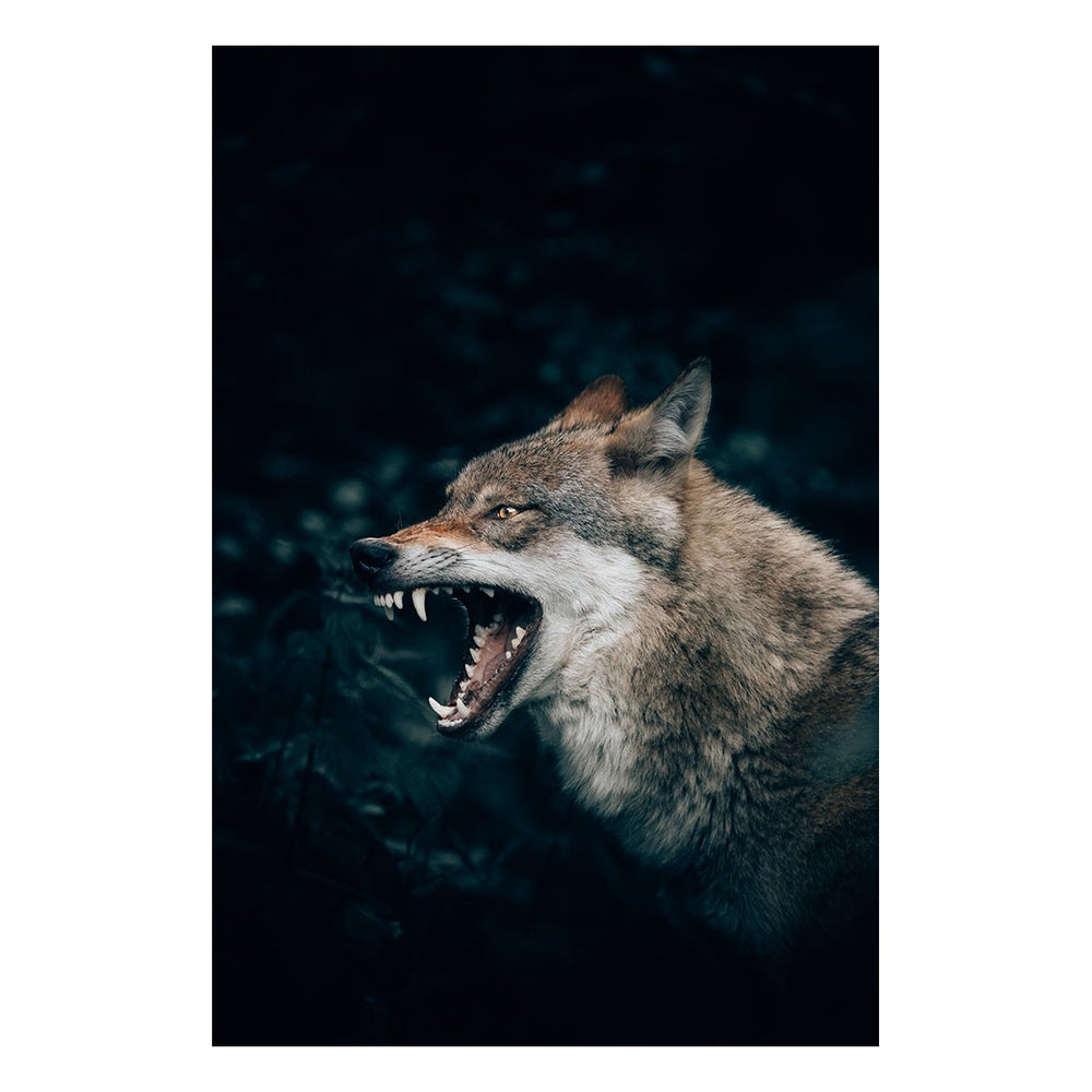 Wolf Art photo