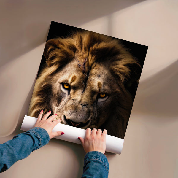 Lion crinière dorée, regard frontal noir et or — Poster HP mat