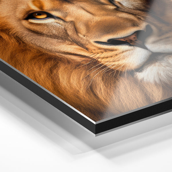Lion frontal regard fixe or et brun intense — Aluminium Dibond relief 3D