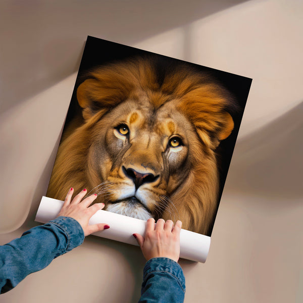 Lion blond face à face, regard intense sur noir — Poster HP mat
