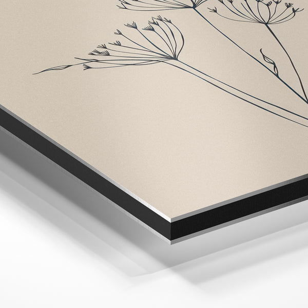 Fleurs minimalistes au trait noir et beige — Aluminium Dibond