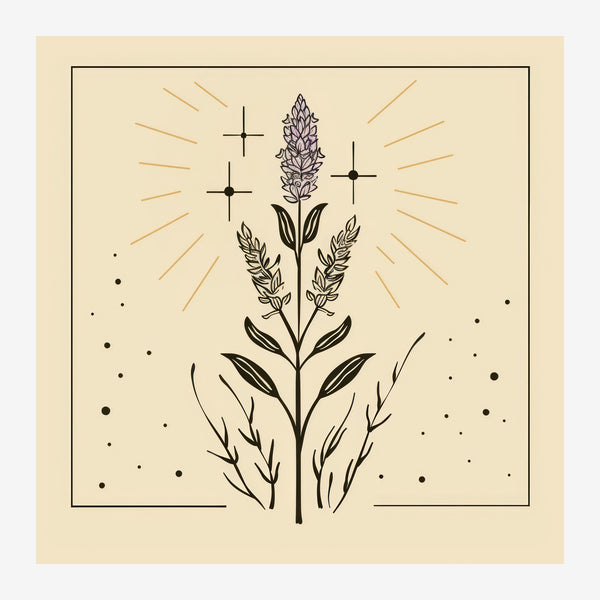 Plante mystique en line art beige et noir — Toile sur châssis