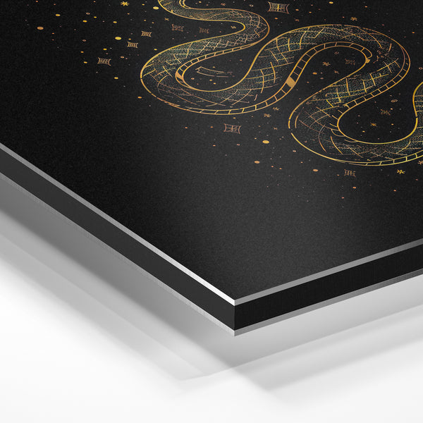 Serpent doré et étoilé mystique, line art — Aluminium Dibond