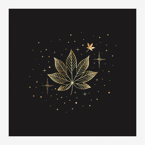 Feuille d'or et étoiles – line art botanique noir et or — Toile sur châssis