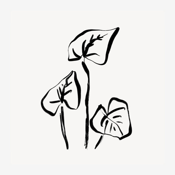 Trois feuilles épurées - Line art minimaliste — Toile sur châssis