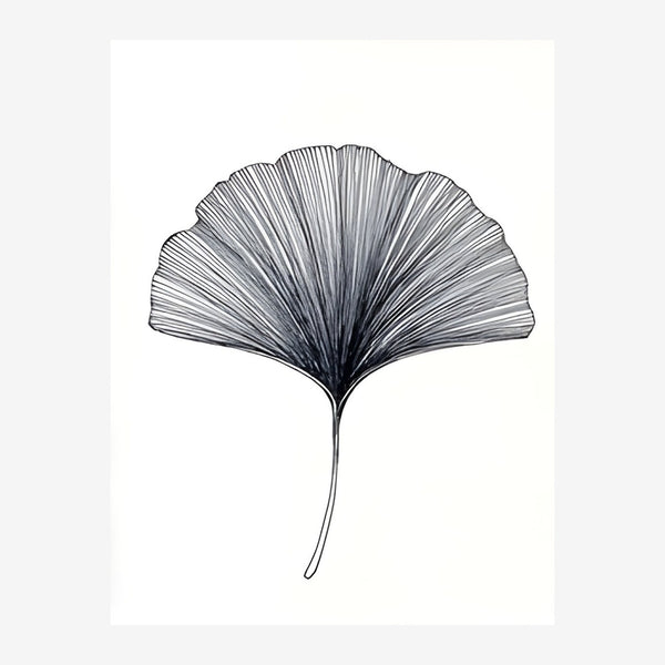 Ginkgo - Line art botanique noir et blanc — Toile sur châssis