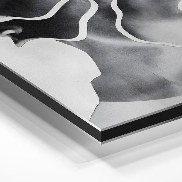 Portrait noir et blanc aux lignes épurées — Aluminium Dibond