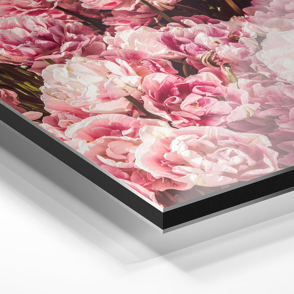 Champ de pivoines roses - décoration botanique — Aluminium Dibond relief 3D