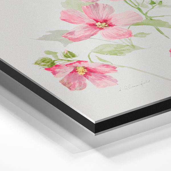Fleurs roses et blanches, style botanique aquarelle — Aluminium Dibond