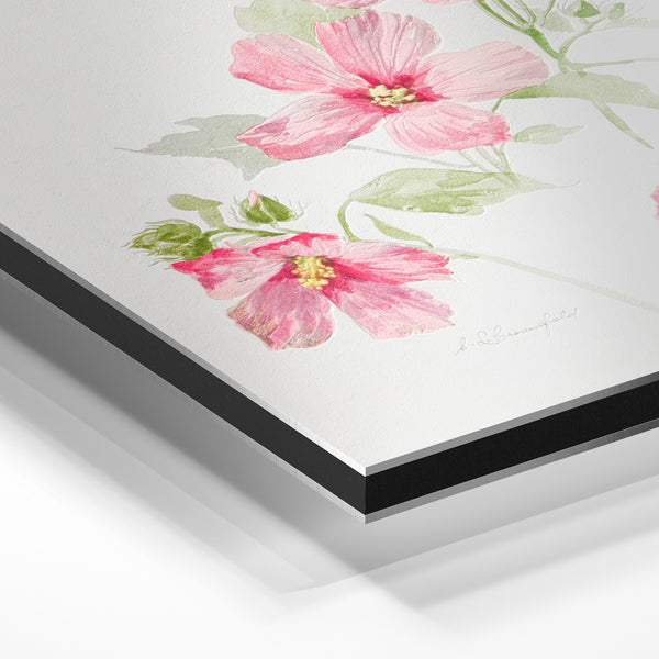 Fleurs roses et blanches, style botanique aquarelle — Aluminium Dibond relief 3D