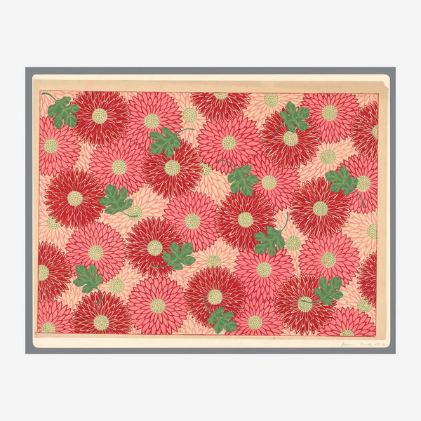 Gerberacées rouges et roses en motif répété — Poster HP mat