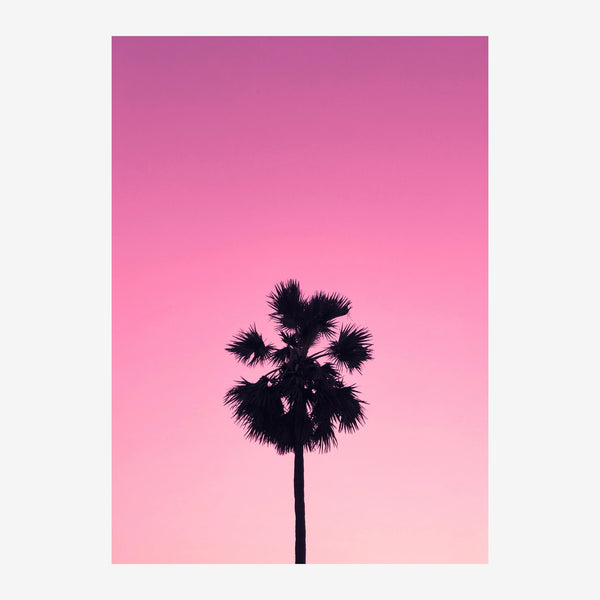 Palmier noir sur ciel rose poudré minimaliste — Toile sur châssis