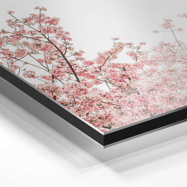 Fleurs de cerisier rose et blanc minimaliste — Aluminium Dibond relief 3D