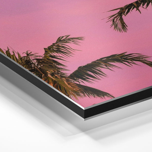 Palmiers silhouette coucher de soleil rose — Aluminium Dibond