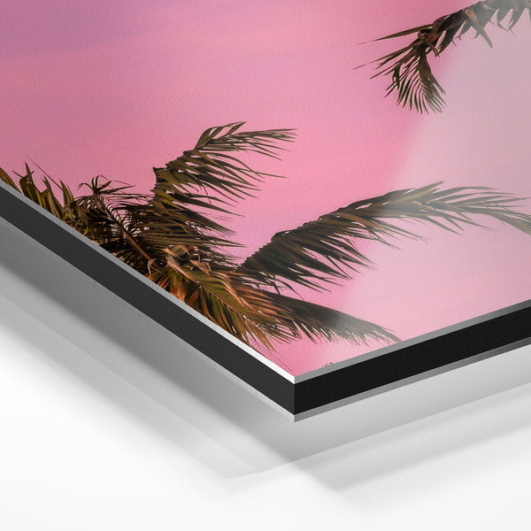 Palmiers silhouette coucher de soleil rose — Aluminium Dibond relief 3D
