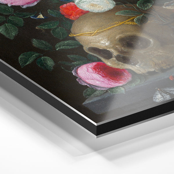 Nature morte baroque : crâne et roses roses — Aluminium Dibond relief 3D