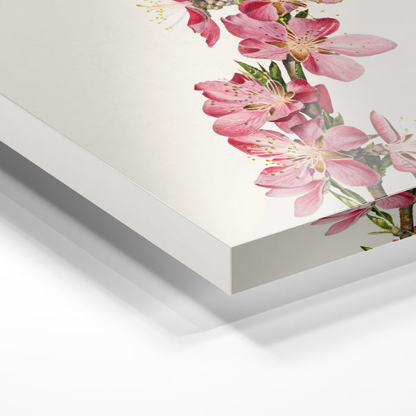 Branche de fleurs roses, illustration botanique — Verre acrylique