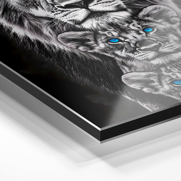 Trio de lions aux yeux bleus, noir et blanc — Aluminium Dibond relief 3D