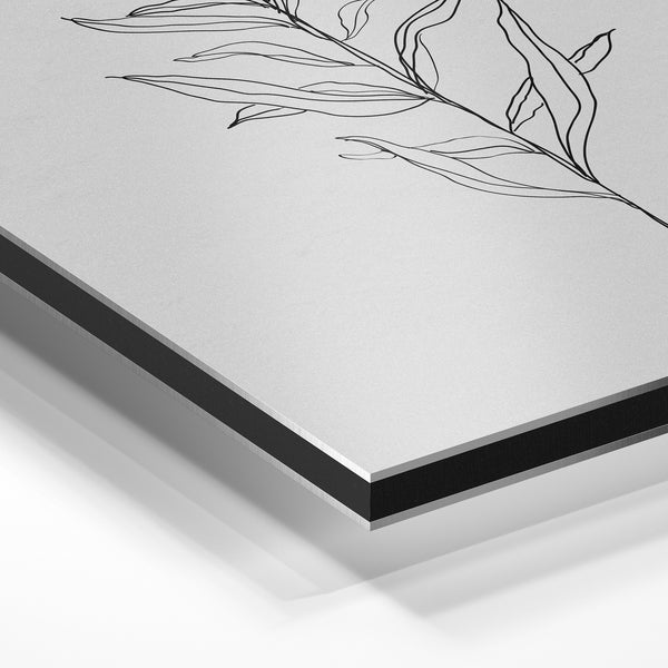 Branche minimaliste - Line art botanique noir et blanc — Aluminium Dibond