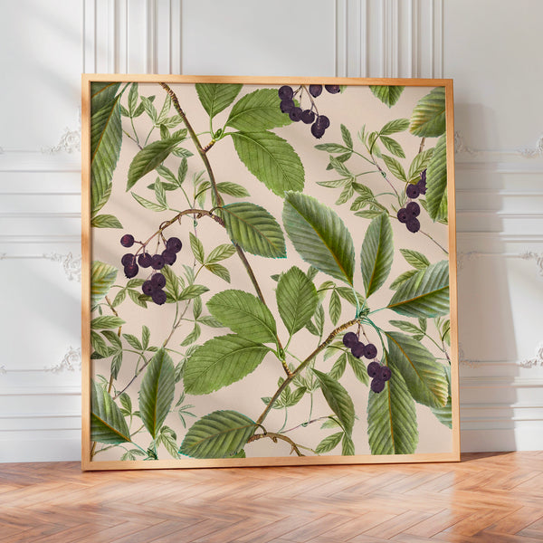 Baies noires et feuillage botanique vintage — Poster HP mat